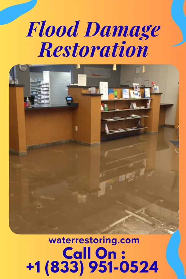 Flood Damage Restoration in Oakley, KS