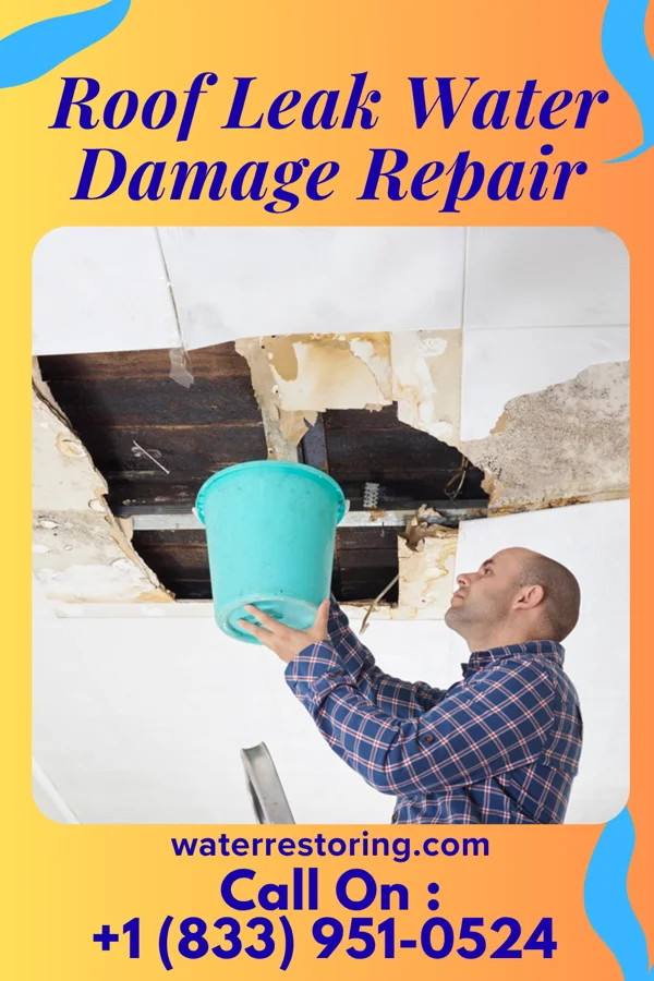 Roof Leak Water Damage Repair in Oakley, KS