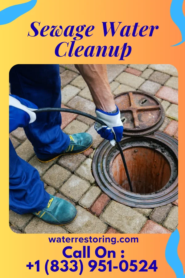 Sewage Water Cleanup in Oakley, KS